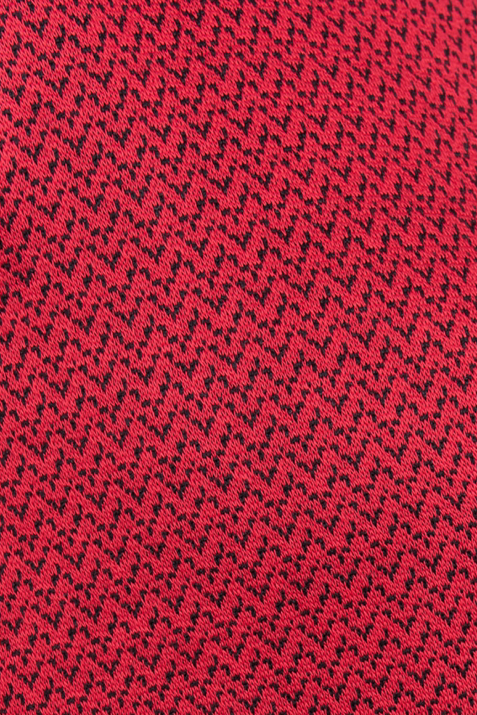 ADKN Red Organic Cotton Herringbone Knit Printed Fabric